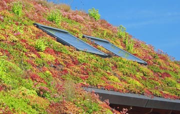 Hampsthwaite living roof systems