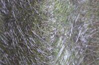 Hampsthwaite fibreglass roof work